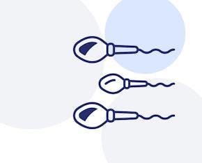 Illustrerad bild av spermier